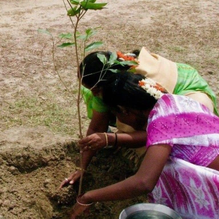 environment sustainability